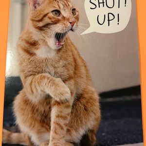 Meet your Posher, Jim